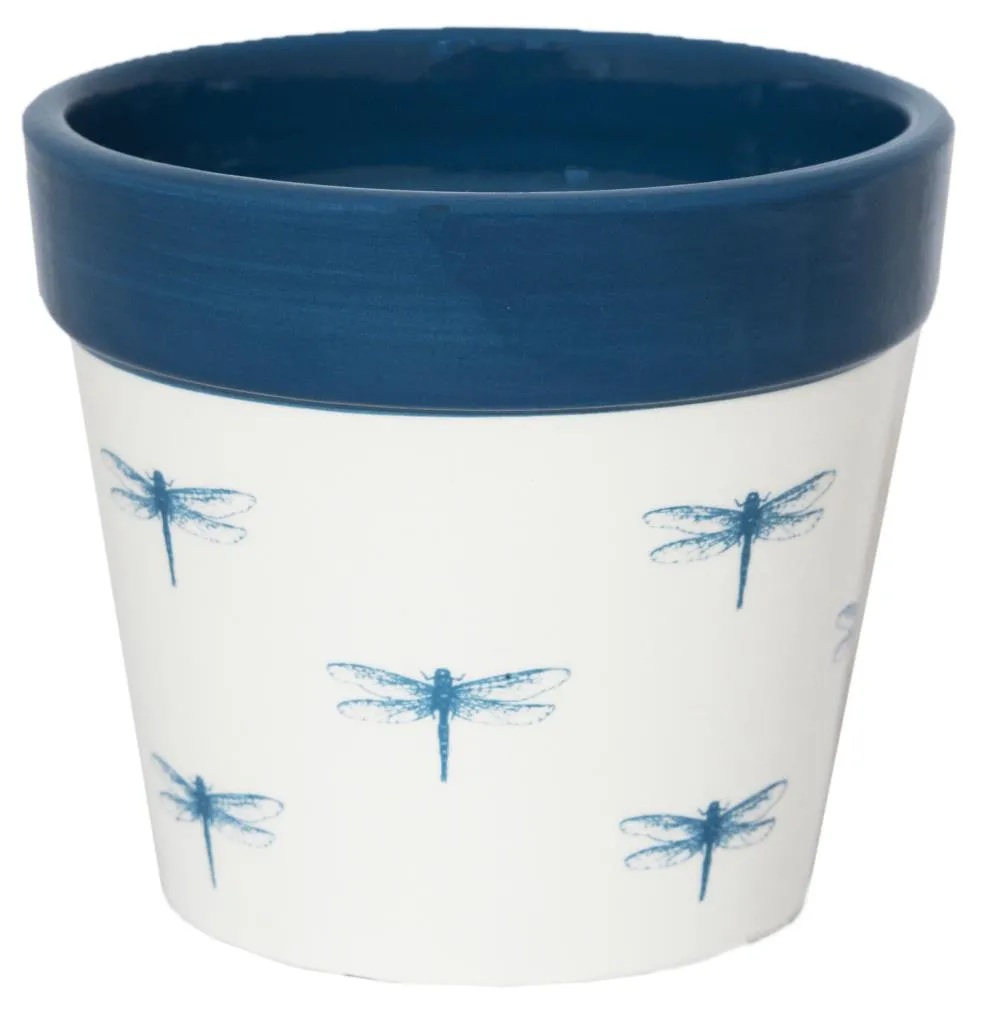 Ivyline 13cm Blue Dragonfly Ceramic Cacti Planter